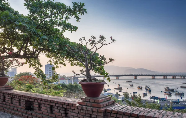 Vietnam, Nha Trang. May 3, 2015. Top view at the fishing village and the bridge over the River Cai. Bonsai in a pot on the wall of the fortress in the temple complex Po Nagar Cham. — Stock Photo, Image