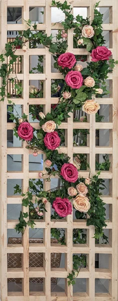 Vertical gardening. Wooden pergola decorated with roses  and the ivy.