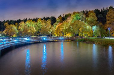 Moskova. 6 Ekim 2019. Meshchersky Gölü 'nde sonbahar gecesi manzarası