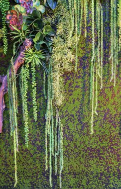 Vertical landscaping from artificial and stabilized plants: grass, moss, fern and green leaves clipart