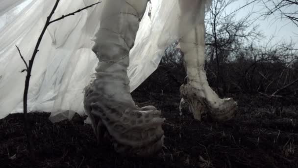 Imagen Recortada Hada Con Vestido Largo Caminando Sobre Suciedad — Vídeo de stock