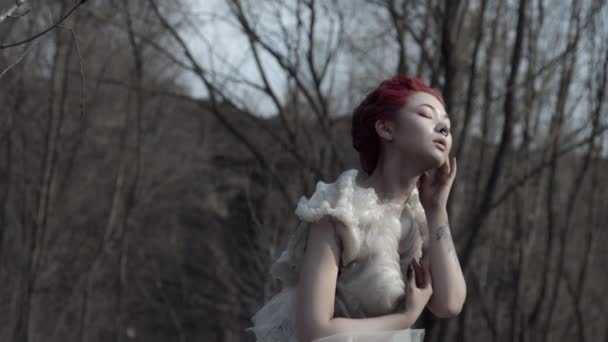 Scenic View Fairy White Dress Posing Outdoors Moody Nature — 图库视频影像