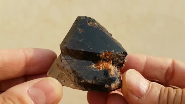Μαύρο Rutile Quartz Δείγμα Hand Held Τοποθεσία Πακιστάν — Αρχείο Βίντεο