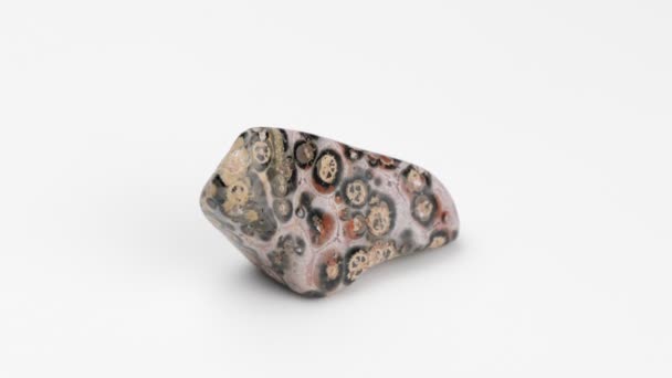 Jaspe Leopardo Sobre Fondo Blanco Rotación Rhyolite Piedra Decorativa Ornamental — Vídeos de Stock