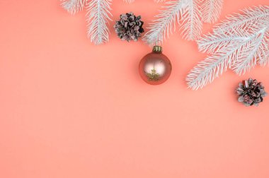 Beyaz Noel ağacı dalları, top ve koniler.