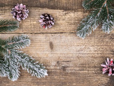 Kar ve pembe külahların altında Noel ağacı dalları.