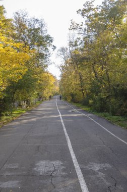 Bicycle and treadmill.