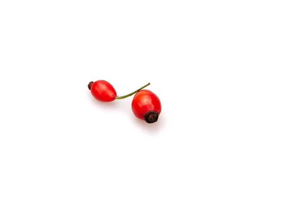 Červené Bobule Dogrosy Bílém Pozadí Růžové Boky — Stock fotografie