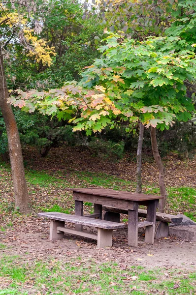 Ξύλινο Τραπέζι Και Παγκάκια Για Χαλάρωση Στο Πάρκο Περιοχή Ημέρα — Φωτογραφία Αρχείου