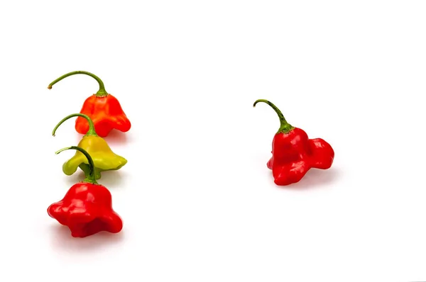 Hot Pepper Variëteiten Bel Een Witte Achtergrond Stilleven Met Pepers — Stockfoto