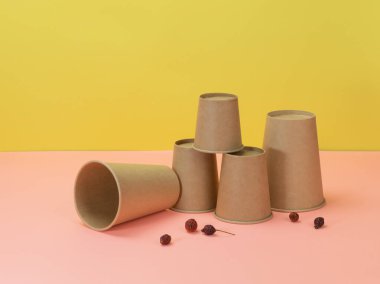 Çevre dostu mutfak aletleri ve pembe ve sarı arka planda yabani güllerin organik meyveleri. Tek kullanımlık kağıt bardaklar.