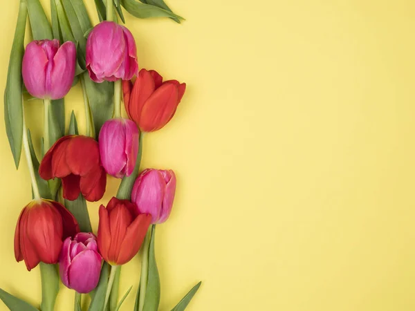 Sarı arka planda pembe ve kırmızı laleler. Yukarıdan görünüşü.