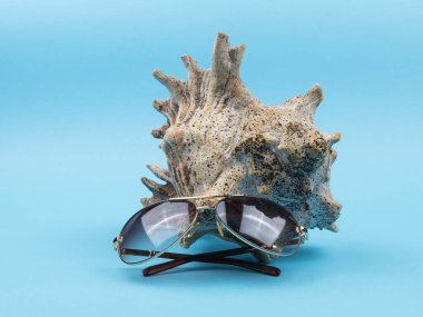 Deniz gözlüğü ve deniz kabuğu kavramı. Mavi arkaplanda kompozisyon.