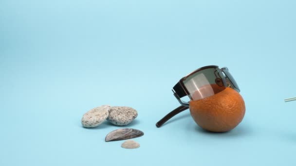 Мандарин в солнцезащитных очках и аксессуарах для пляжного отдыха . — стоковое видео