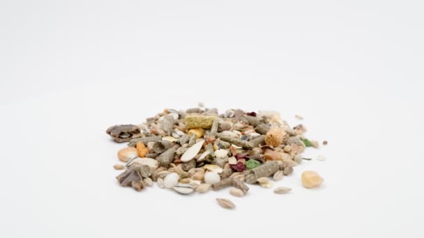 Food for hamsters on white background closeup. Rotation. — Stock Footage Food for hamsters on white background closeup. Rotation. Stock Video