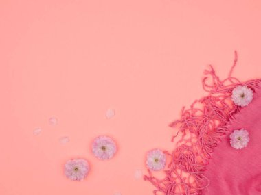 Pembe eşarp ve pembe arka planda pembe çiçekler. Yukarıdan manzara. Badem rengi dekoratif. Sakura.