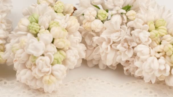 Bouquet de lilas blanc sur une dentelle blanche. Rotation . — Video