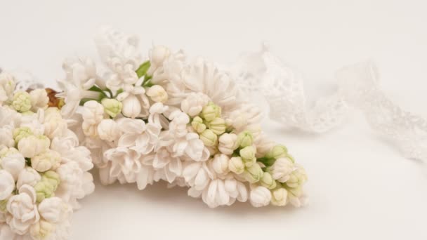 Kwitnące gałęzie białego bzu i koronki na białym tle. — Wideo stockowe