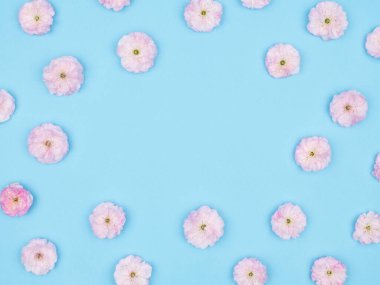 Bahar çiçekleri. Mavi arkaplanda badem.