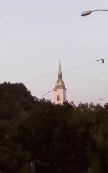Ağaçtaki kilise, şehir