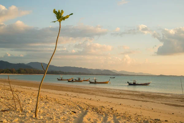 Traditionelle thailändische Boote in Strandnähe — Stockfoto