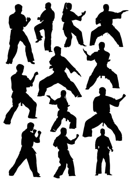 Conjunto Siluetas Kata Karate Atletas Vector Ilustración — Vector de stock