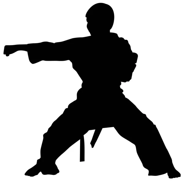 Silueta Kata Karate Atletas Vector Ilustración — Archivo Imágenes Vectoriales