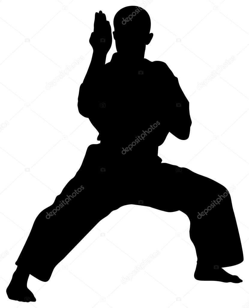 silhouette of kata karate athletes vector illustration