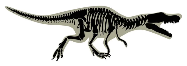 ティラノサウルスの骨格図のシルエット — ストックベクタ