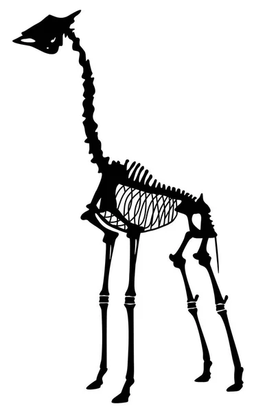 Silhouette Eines Tierskeletts Giraffen Vektor Illustration — Stockvektor