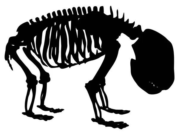 Silhueta Esqueleto Animal Uma Ilustração Vetor Panda —  Vetores de Stock