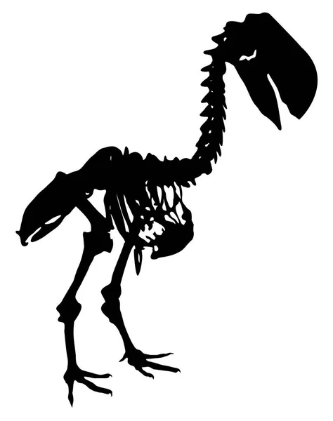 Diatryma矢量图的化石骨骼轮廓 — 图库矢量图片