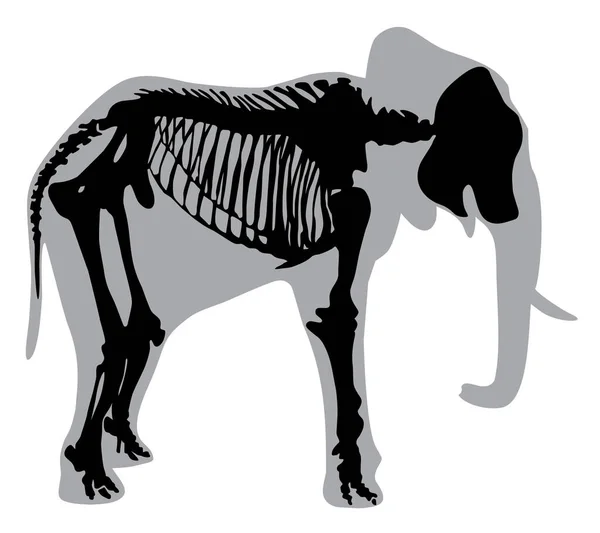 Silhouette Animal Skeleton Elephant Vector Illustration — Stock Vector