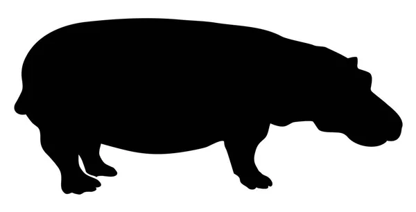 Sylwetka Ssaków Zwierząt Hipopotama Wektor Ilustracja — Wektor stockowy