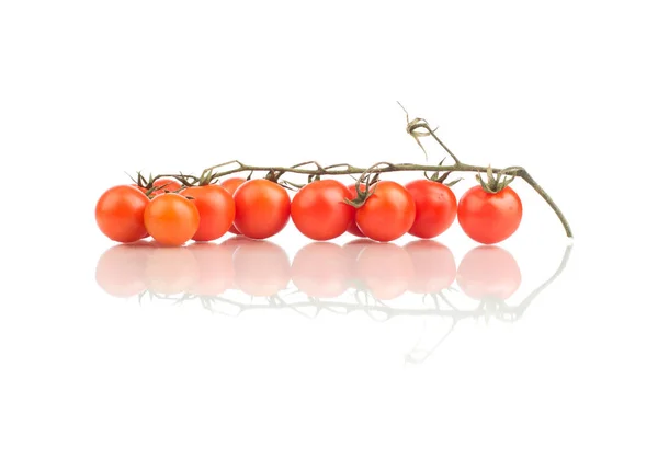 Tomates Cereja Vermelhos Frescos Isolados Sobre Fundo Branco — Fotografia de Stock