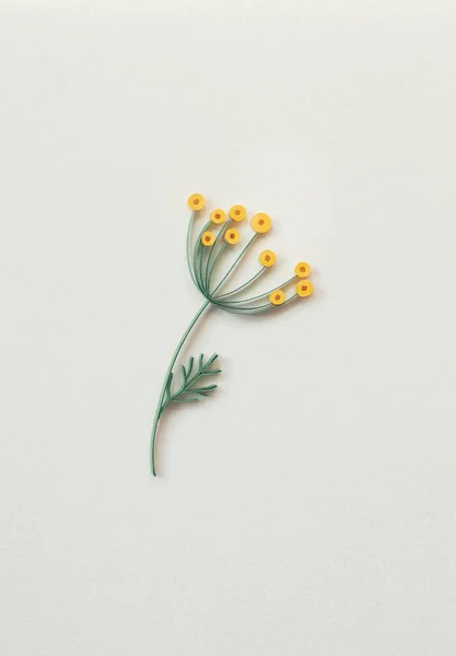 Lindos Desenhos Flores Silvestres Isolados Quilling Papel Flor Papel Amarelo — Fotografia de Stock