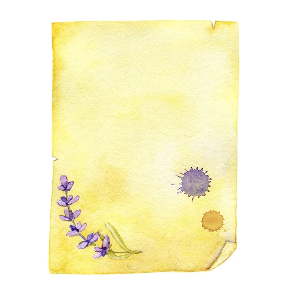 Una hoja de papel viejo con una mancha y una flor de lavanda. Ilustración de primer plano acuarela hecha a mano. Para los conceptos de diseño de correo, correspondencia, mensaje, fondo, plantilla, tarjeta de felicitación . —  Fotos de Stock