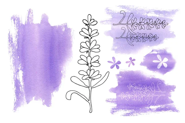 Conjunto de elementos de manchas lila púrpura y flores de lavanda aisladas sobre un fondo blanco. Ilustración de acuarela hecha a mano para el diseño de la tarjeta de visita, volante, boda, bandera, plantilla . — Foto de Stock