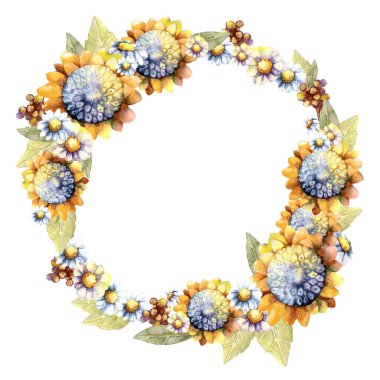 Arka plan ve çerçeve, güneşli ayçiçeği, papatya çiçekleri ve yazıtlar için bir yer. Kartvizit, düğün, şablon, davetiye ve tebrik için elle çizilmiş suluboya çizimi.