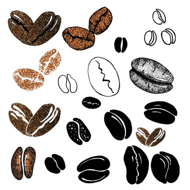 Kahve çekirdekleri. El yapımı suluboya ve grafik illüstrasyon kahve konsepti tasarımı için beyaz arka planda izole.