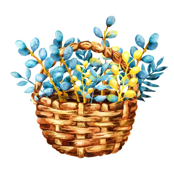 Easter willow twigs in a wicker basket. Hand drawn watercolor illustration isolated on white background. Design for holiday products, greeting cards, packaging, banner, greetings. — Stock Photo, Image