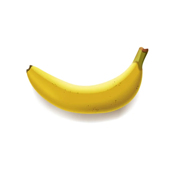Ρεαλιστική εικόνα της ώριμης μπανάνας που απομονώνεται σε λευκό φόντο. Εικονογράφηση διανύσματος για σχεδιασμό ετικέτας, διαφήμισης, banner. — Διανυσματικό Αρχείο