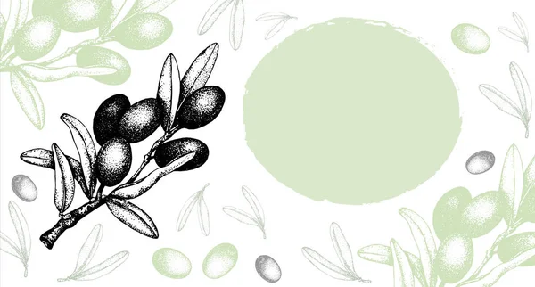 Ρεαλιστική απεικόνιση του κλαδιού μαύρης και πράσινης ελιάς που απομονώνεται σε φόντο ακουαρέλας. Ζωγραφισμένο στο χέρι. Σχεδιασμός ελαιολάδου, φυσικών καλλυντικών, προϊόντων υγειονομικής περίθαλψης. — Φωτογραφία Αρχείου