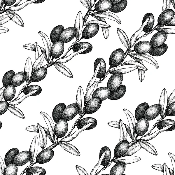 Pola mulus dengan ilustrasi zaitun hitam dan hijau pada latar belakang putih dengan duri dan daun. Desain untuk minyak zaitun, kemasan, kosmetik alami, produk kesehatan, kertas dinding — Stok Foto