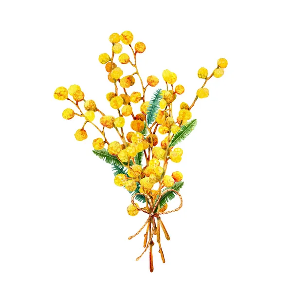 Άνοιξη Μπουκέτο Από Κίτρινα Λουλούδια Μιμόζα Κορδέλα Χειροποίητη Ακουαρέλα Που — Φωτογραφία Αρχείου
