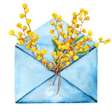 Open mail envelope with flowers mimosa and twigs inside. Hand drawn closeup watercolor illustration isolated on white background. For the design of the holiday of love, Valentine's Day, Easter.