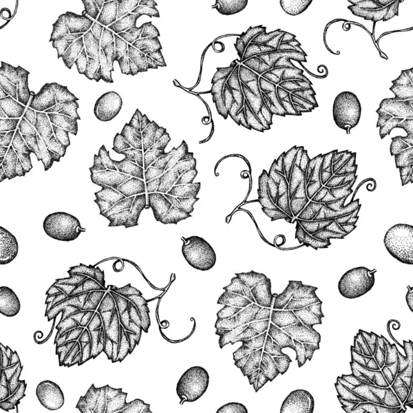 Pola mulus dengan daun anggur, buah beri, cabang, kuas. Titik-titik gambar tangan grafis pada latar belakang putih. Desain untuk kemasan, pembungkus, menu, templat, label . — Stok Foto