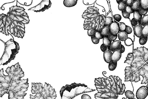 Moldura e fundo com a imagem de um monte de uvas e folhas. Desenho gráfico desenhado à mão com pontos isolados. Estilo vintage para menus de design, rótulos, anúncios, capas, cartões postais . — Fotografia de Stock