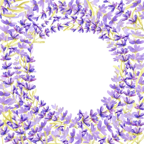 Okrągła Rama Kwiatów Lawendy Liliowej Białym Tle Miejscem Tekst Ręcznie — Zdjęcie stockowe