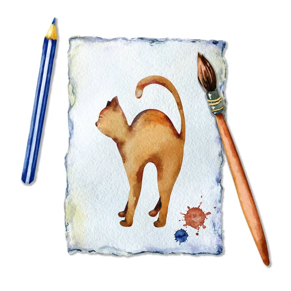 Kağıt üzerinde kedi. Sanatçı fırça, suluboya ve kalemle bir kedi çizer. Çocukların yaratıcılığı ve hobileri kavramı. Beyaz arkaplanda el boyası çizimi — Stok fotoğraf